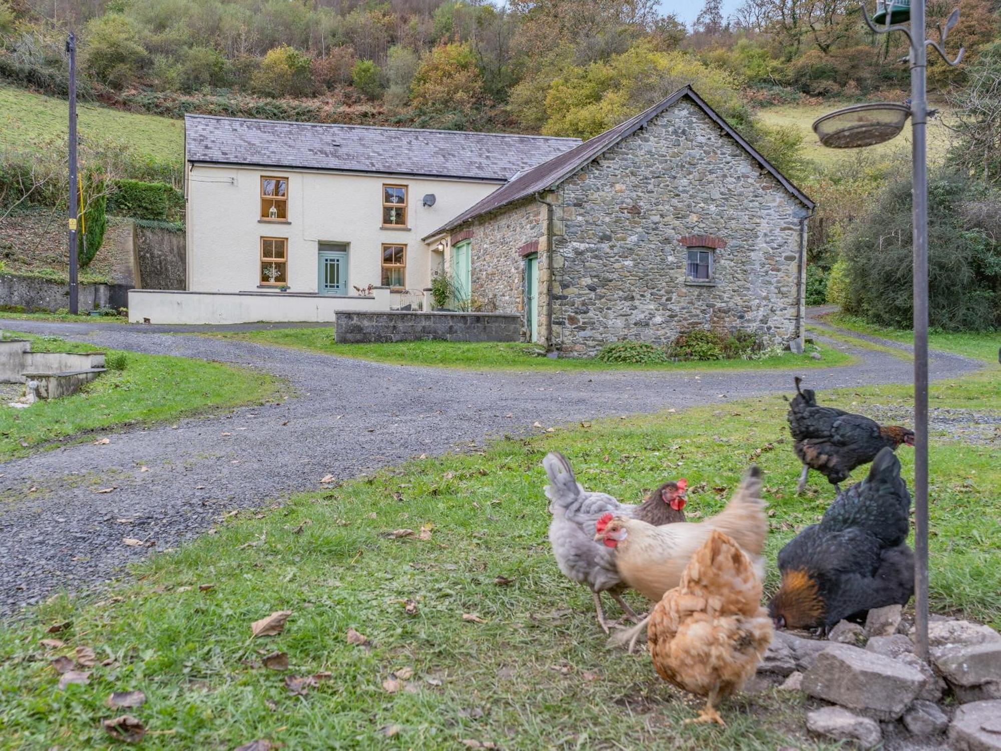 Pwll Farmhouse Llanllawdog Eksteriør bilde