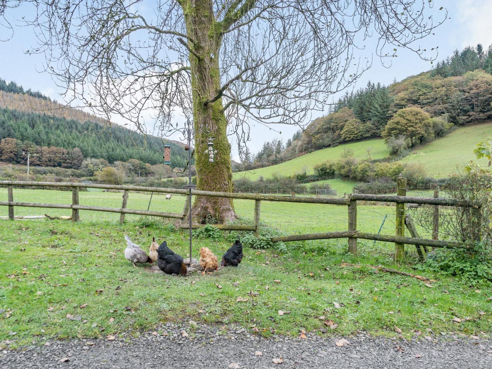 Pwll Farmhouse Llanllawdog Eksteriør bilde
